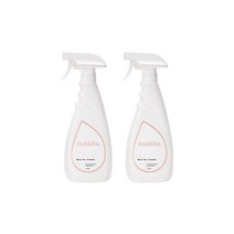 홀리클린 뿌리는 곰팡이 제거제 500ml, 2개