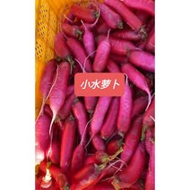 [신중국식품] 싱싱수이뤄버 신선애기무우 야채 500g 1kg