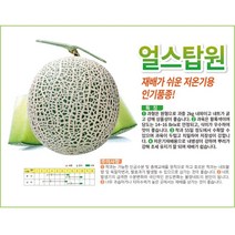 멜론씨앗 얼스탑원(100립), 단품