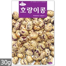 얼룩이 강낭콩 씨앗 70립 - 씨 강낭콩씨 강낭콩씨앗 콩씨 콩씨앗 강남콩씨앗 주말농장 텃밭, 21_호랑이콩(30g)