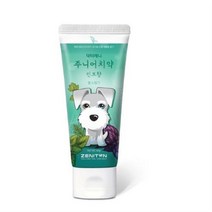 제니튼 주니어 치약 민트향, 23개, 60g