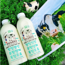 평창보배목장 단일생산 무항생제 우유 1000mL 유기농우유 목장 프리미엄 신선한 친환경