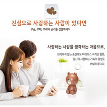 라인 프렌즈 공기 청정기 MINI 브라운
