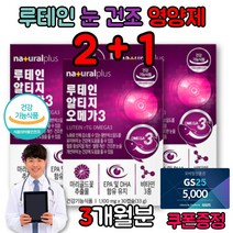 눈 충혈 원인 눈 이물감 루테인 권장량 눈 피로 건조 할때 루테인 영양제