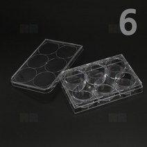 홈판 6홀/과학 실험 키트 교구 도구 만들기