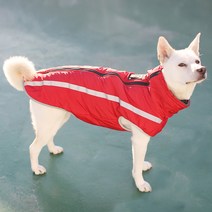 바드소 중형견 대형견 NEW 패딩 워머 겨울옷, 빨강