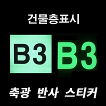 신성 건물층표시 축광스티커x5장 바닥 비상 야광테이프 대피, 1개
