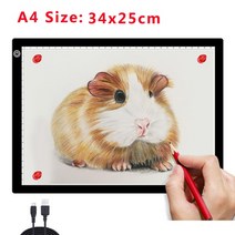 그림그리는패드 A4/A3 드로잉 태블릿 wacom 자석 LED 다이아몬드 페인팅 라이트 패드 보드 엑스레이 필름 뷰어 용 휴대용, [01] A4(34x25cm)