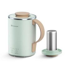 홍삼만들기 가정용 멀티쿠커 홍삼 달이기 약탕기 중탕기 350ml 전기 주전자 건강 보존 냄비 삶은 물 차 주, 02 green with filter_03 AU