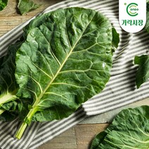 [온도씨]가락시장 녹즙케일 1단 (약450g), 1개