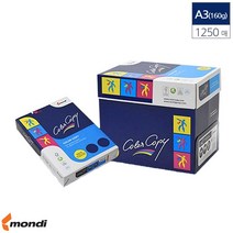 A3 컬러 레이져 전용 복사용지 백색 160g 1250매 복사 카피용지 고급용지 복사종이 프린터용, 상세페이지 참조