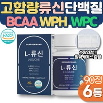 류신타블렛 식물성 단백질 WPC 프로틴 여성 복근 하체운동 근육키우는법 운동전 WPH 헬스보충제 유청단백 식약처 노인 단백질보충제 시니어 운동후 근육량늘리기 뮤신 루신 BCAA, 90정 X 6통