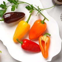 도곡팜_ 미니파프리카(가정용) - 3kg(벌크)