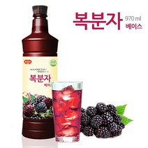 카페 복분자 원액 970ml 에이드 음료 베이스 과일 주스 농축액
