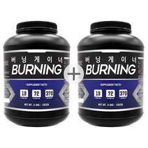 프로틴샵 버닝게이너 2통 게이너 헬스보충식품, 2개, 3kg
