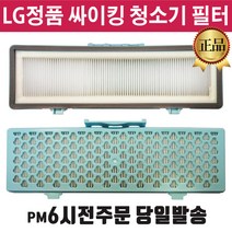 LG 싸이킹 청소기 정품 필터 C40SGY C40BGMY C40KFHT, 1개