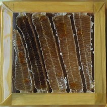 지리산 산사람 벌집꿀, 1개, 벌집꿀 3.8kg이상 종이상자(금색보자기무료)