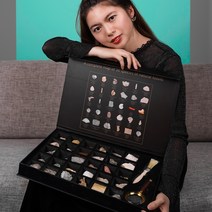 화석표본 생물 곤충 소라 호박 표본 삼엽충 선물 수집용, 화석 축제