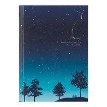 2023 일본 고급 미도리 만년필 일기장 만년 다이어리 추천 하루 한페이지 별이 빛나는 밤, 밤하늘의 무늬