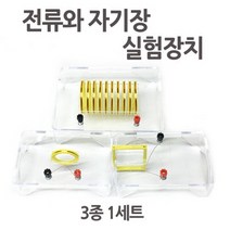 전류와 자기장 실험장치 RTS