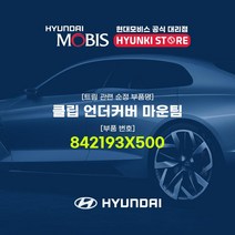 현대모비스 클립 언더커버 마운팀 (842193X500)