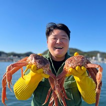국내산 동해바다 제철 대게 수율보장, 국산대게(자숙찜/찜비무료), 박달대게 중 3마리(자숙)_수율90%내외