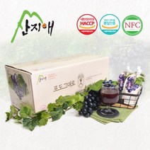 [KT알파쇼핑]산지애 포도원액주스 50팩 / 포도즙 100% 착즙 NFC, 50개, 120ml