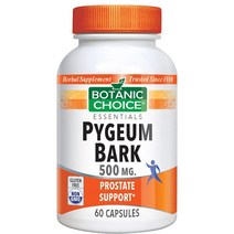 보타닉초이스 피지움 바크 추출물 500mg 60캡슐, 단일상품개