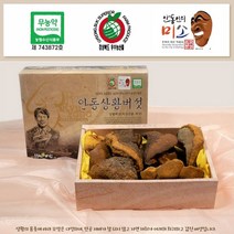 상황버섯(중품) 300g 10 + 사은품 국내산 국산 안동 류충현 무농약 상황 버섯 뽕나무 원물 균사체 차 물 진액 액기스 베타글루칸 명절 설 추석 어버이날 건강 선물세트 추천, 상황버섯(중품) 300g 1개