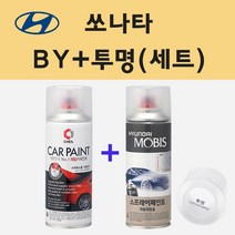 현대 쏘나타 BY 프라임그린 주문 스프레이 페인트 + 투명스프레이