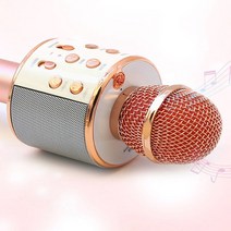 신광 블루투스 마이크 힐링토이(원형) 무선노래방, 색상임의배송