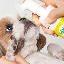 말썽쟁이여름 강아지 애견 워터리스 발 보습 세정제 샴푸 150ml, 단품