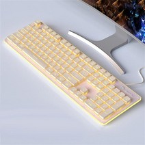 맥용키보드 맥북 호환 RYRA유선 기계식 키보드 백라이트 키 캡 PBT 104 PC 게이머 안티 고스팅 RGB LED 라이트 Mac Windows 용, [01] 01