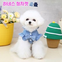 강아지 청자켓, 진청/S