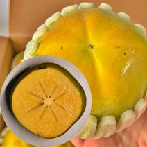 [산지직송] 고당도 아삭달콤 창원 태추단감 햇 배 단감 가정용 흠과 정품 선물용 선물세트 감 2kg 3kg 4kg 5kg, 1박스, 소과 4kg(가정용 22-28과)