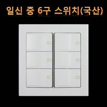 (주)일신전기 일신 중6구스위치 ISW-14204, 1개