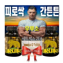 우루소 세트 ** 본사직송 ** 간영양제 영양제 피로싹 간튼튼 면역력