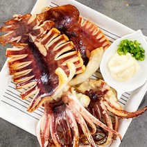 울릉도 반건조오징어 마른오징어 오징어 피데기 건오징어 동해오징어 반건오징어 말린오징어, 반건조오징어 소 10미 800g~1kg