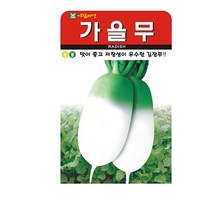 SN월드 뿌리채소 씨앗 무 당근 양파 알타리무 비트 콜라비 과일무, 가을무