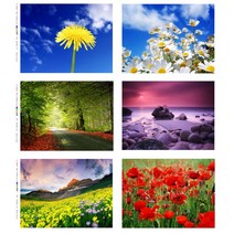 천아트 DTP 컷트지 폴리 옥스포드 자연과 플라워 6종(d3007), 저녁노을
