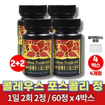 콜레우스 포스콜리 추출물 정 알약 환 분말 가루 콜리우스 콜리오스 coleus 무부형제 20대 30대 40대 50대 여성 여자 건강분말, 4통