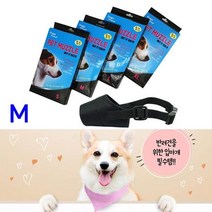 닥스훈트 산책 에티켓 매너견 천입마개 펫용품 허스키