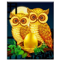 FASEN diy보석십자수 캔버스 형액자 세트 40cm x 50cm, AYW-11부엉이. 부엉새