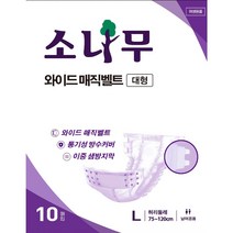 소나무 성인 기저귀 와이어 매직벨트 펜티형 대형(L) 남여공용, 8팩(80매입)
