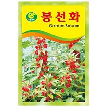봉선화 씨앗 (50립) -봉숭아씨 키우기 꽃씨 야생화, 단품