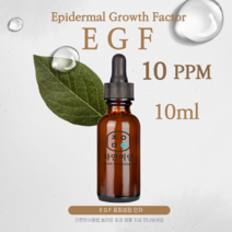 EGF 원액 앰플 10ppm 10ml 30ml 50ml 이지에프 에센스 IGF FGF, 10ppm,10ml, 1개