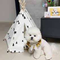 강아지 고양이 포메라니안 비숑 프리제 러시안블루 먼치킨 애완동물 하우스 집 인디언텐트, 올레이스