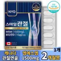 캐나다 MSM 글루코사민 팔목손목무릎 관절연골 영양제 2개월분
