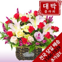 대박플라워 특별하게 꽃바구니 생일선물 기념일 출산꽃선물 병문안 꽃배달