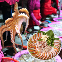 먹사부 [자연산] 통영 돌문어 생물 냉동 통 자숙 다리 슬라이스 숙회 제수용 국내산 500g 1kg 2kg, 선택1. 활문어 3kg